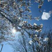 ヒメ日記 2025/04/06 15:15 投稿 ねね 素人妻達☆マイふぇらレディー