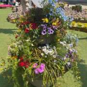 ヒメ日記 2025/04/12 12:35 投稿 ねね 素人妻達☆マイふぇらレディー