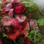 ヒメ日記 2025/05/11 08:00 投稿 ねね 素人妻達☆マイふぇらレディー