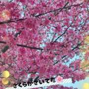 ヒメ日記 2025/03/08 18:45 投稿 京極(きょうごく) 人妻城 横浜本店