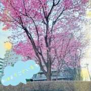 ヒメ日記 2025/03/09 09:45 投稿 京極(きょうごく) 人妻城 横浜本店