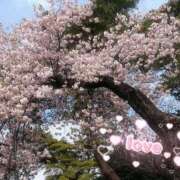 ヒメ日記 2025/03/18 13:45 投稿 京極(きょうごく) 人妻城 横浜本店