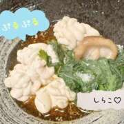 ヒメ日記 2025/03/19 20:31 投稿 京極(きょうごく) 人妻城 横浜本店