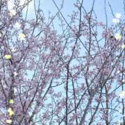 ヒメ日記 2025/03/21 14:31 投稿 京極(きょうごく) 人妻城 横浜本店