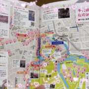 ヒメ日記 2025/03/25 13:00 投稿 京極(きょうごく) 人妻城 横浜本店