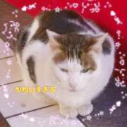 ヒメ日記 2025/04/01 07:01 投稿 京極(きょうごく) 人妻城 横浜本店