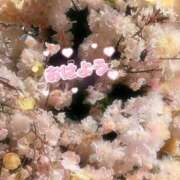 ヒメ日記 2025/04/06 09:45 投稿 京極(きょうごく) 人妻城 横浜本店