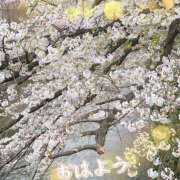 ヒメ日記 2025/04/08 09:45 投稿 京極(きょうごく) 人妻城 横浜本店