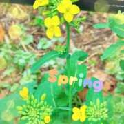 ヒメ日記 2025/04/09 12:04 投稿 京極(きょうごく) 人妻城 横浜本店