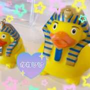 ヒメ日記 2025/04/10 13:46 投稿 京極(きょうごく) 人妻城 横浜本店