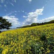 ヒメ日記 2025/04/11 14:46 投稿 京極(きょうごく) 人妻城 横浜本店