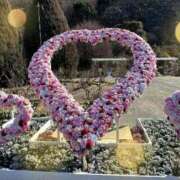 ヒメ日記 2025/04/14 22:49 投稿 京極(きょうごく) 人妻城 横浜本店