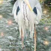 ヒメ日記 2025/04/24 12:40 投稿 京極(きょうごく) 人妻城 横浜本店