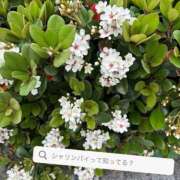 ヒメ日記 2025/04/25 12:32 投稿 京極(きょうごく) 人妻城 横浜本店