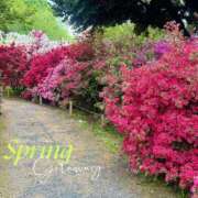 ヒメ日記 2025/04/26 10:13 投稿 京極(きょうごく) 人妻城 横浜本店