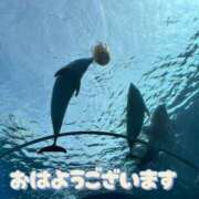 ヒメ日記 2025/04/27 10:13 投稿 京極(きょうごく) 人妻城 横浜本店