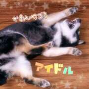 ヒメ日記 2025/04/29 15:10 投稿 京極(きょうごく) 人妻城 横浜本店