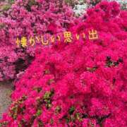 ヒメ日記 2025/05/05 20:54 投稿 京極(きょうごく) 人妻城 横浜本店