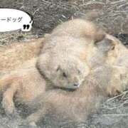 ヒメ日記 2025/05/10 23:07 投稿 京極(きょうごく) 人妻城 横浜本店