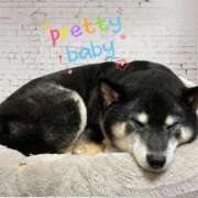 ヒメ日記 2025/05/13 15:40 投稿 京極(きょうごく) 人妻城 横浜本店