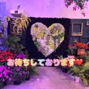 ヒメ日記 2025/12/29 08:39 投稿 つぼみ One More奥様　立川店