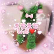 ヒメ日記 2026/03/01 08:29 投稿 つぼみ One More奥様　立川店