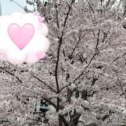 ヒメ日記 2026/03/31 21:29 投稿 つぼみ One More奥様　立川店