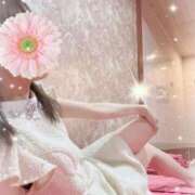 ヒメ日記 2025/06/30 06:52 投稿 すみれ ジャパンクラブ富士