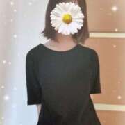 ヒメ日記 2025/07/13 07:02 投稿 すみれ ジャパンクラブ富士