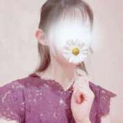 ヒメ日記 2025/09/10 00:26 投稿 すみれ ジャパンクラブ富士