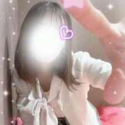 ヒメ日記 2025/12/29 18:42 投稿 すみれ ジャパンクラブ富士