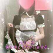 ヒメ日記 2026/02/07 08:35 投稿 すみれ ジャパンクラブ富士