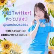 ヒメ日記 2026/07/08 20:02 投稿 すみれ ジャパンクラブ富士