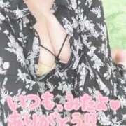 ヒメ日記 2025/05/25 10:08 投稿 せれあ 白いぽっちゃりさん仙台店