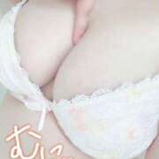 ヒメ日記 2025/07/24 09:18 投稿 せれあ 白いぽっちゃりさん仙台店