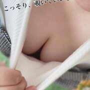 ヒメ日記 2025/07/24 16:28 投稿 せれあ 白いぽっちゃりさん仙台店