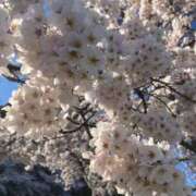 ヒメ日記 2026/04/08 22:38 投稿 せれあ 白いぽっちゃりさん仙台店