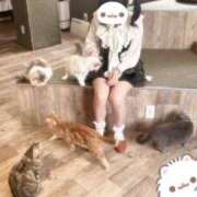 ヒメ日記 2025/04/30 21:38 投稿 すい 秋葉原コスプレ学園in仙台