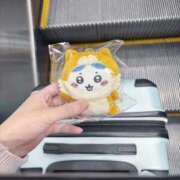 ヒメ日記 2025/09/25 21:06 投稿 すい 秋葉原コスプレ学園in仙台