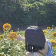 ヒメ日記 2025/08/11 13:47 投稿 くう・高級ソ〇プ出身 Platinum Legend(プラチナムレジェンド)