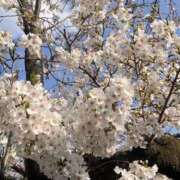 愛奈/あいな お久しぶりです(T ^ T) ANEJE～アネージュ池袋～(ユメオト)