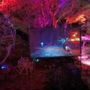 ヒメ日記 2025/04/20 17:20 投稿 水朝美樹（ニューハーフ） 人妻生レンタル