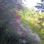 ヒメ日記 2025/05/08 14:50 投稿 水朝美樹（ニューハーフ） 人妻生レンタル