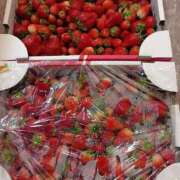 ヒメ日記 2025/05/25 13:20 投稿 水朝美樹（ニューハーフ） 人妻生レンタル