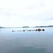 ヒメ日記 2025/06/18 15:30 投稿 水朝美樹（ニューハーフ） 人妻生レンタル