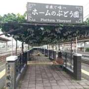 ヒメ日記 2025/09/11 10:57 投稿 水朝美樹（ニューハーフ） 人妻生レンタル