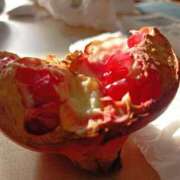 ヒメ日記 2025/10/30 13:21 投稿 水朝美樹（ニューハーフ） 人妻生レンタル