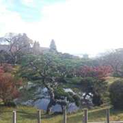 ヒメ日記 2025/11/07 08:50 投稿 水朝美樹（ニューハーフ） 人妻生レンタル