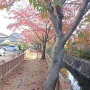 ヒメ日記 2025/11/20 12:01 投稿 水朝美樹（ニューハーフ） 人妻生レンタル