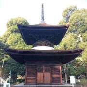 ヒメ日記 2025/12/11 12:59 投稿 水朝美樹（ニューハーフ） 人妻生レンタル